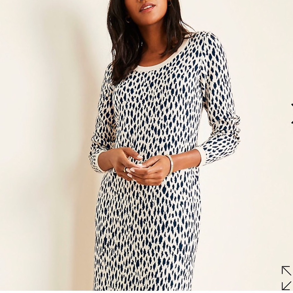 ANN TAYLOR Leopard Print Sweater Dress Size XS